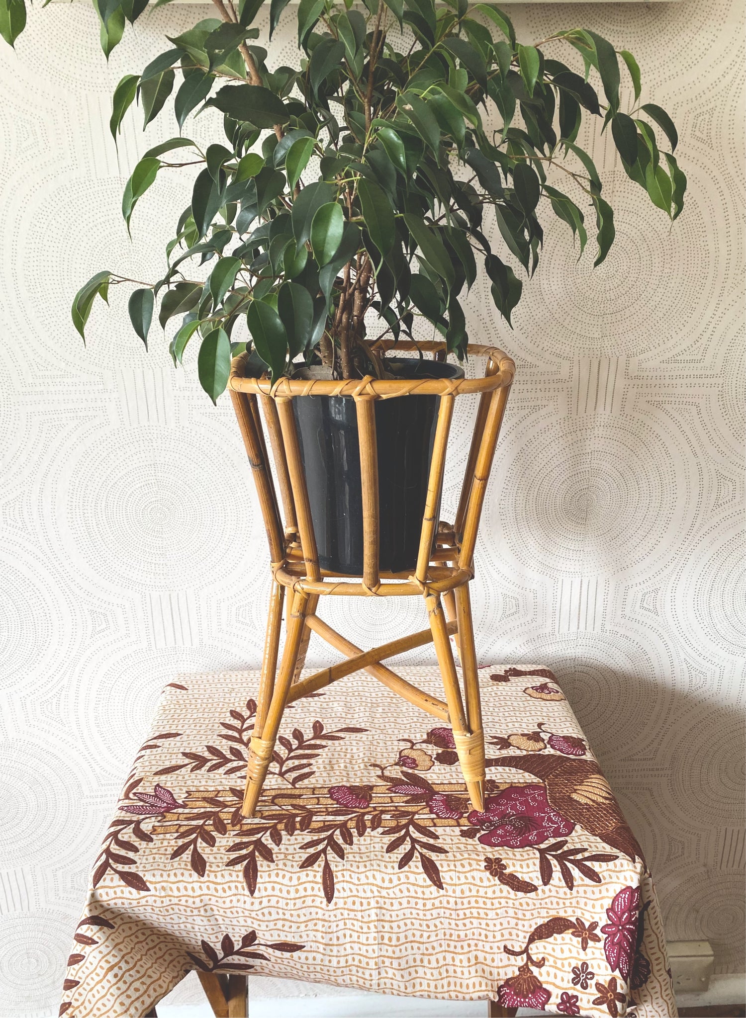 westvillagewares Vintage cane plant stand planter